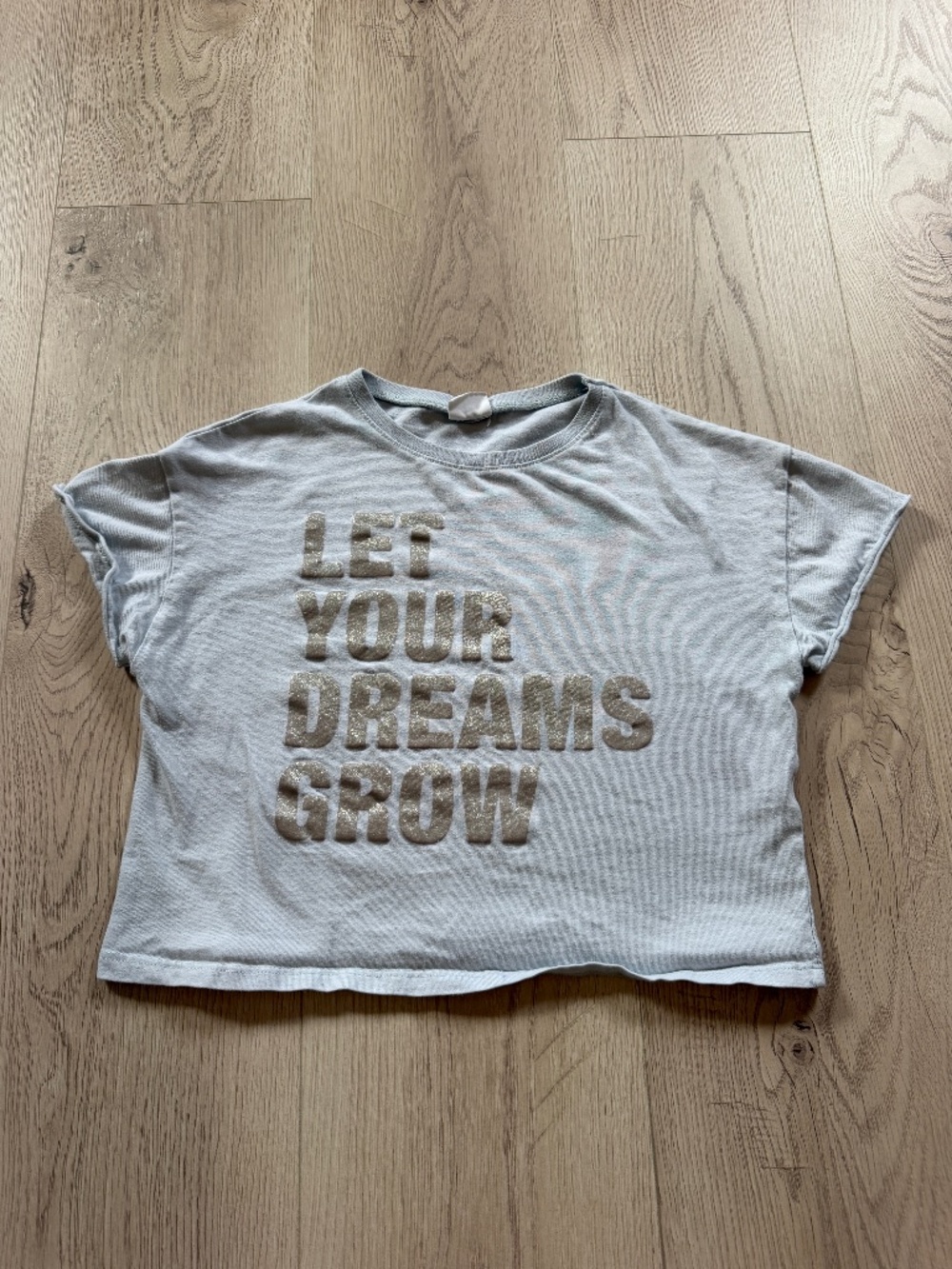 Zara Girls Blue Cropped " Let your dreams grow"  T-Shirt Sz.8